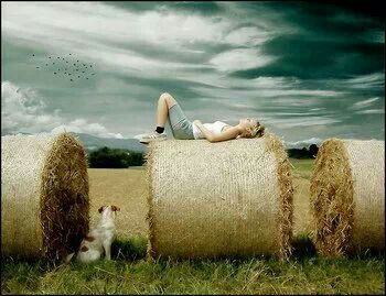 IlTempoVistoDalCampoDiGrano